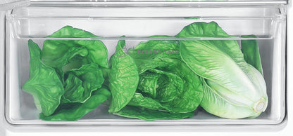 INDESIT INCASSO IND2040E | FRIGORIFERI INCASSO | FRIGORIFERI 2PORTA INCASSO | FRIGO INC. 2P STATICO